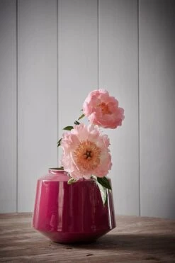 Metal Vase Dark Pink 22 Cm 12 Metal Vase Dark Pink 22 Cm -Pip studio 51.102.046 lr