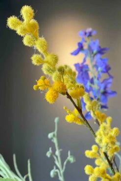 Pip Fleurs Artificielles Floral Fantasy -Pip studio img 4600