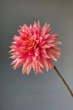 Pip Artificial Flowers Vanilla Bloom 20 Pip Artificial Flowers Vanilla Bloom -Pip studio img 8895