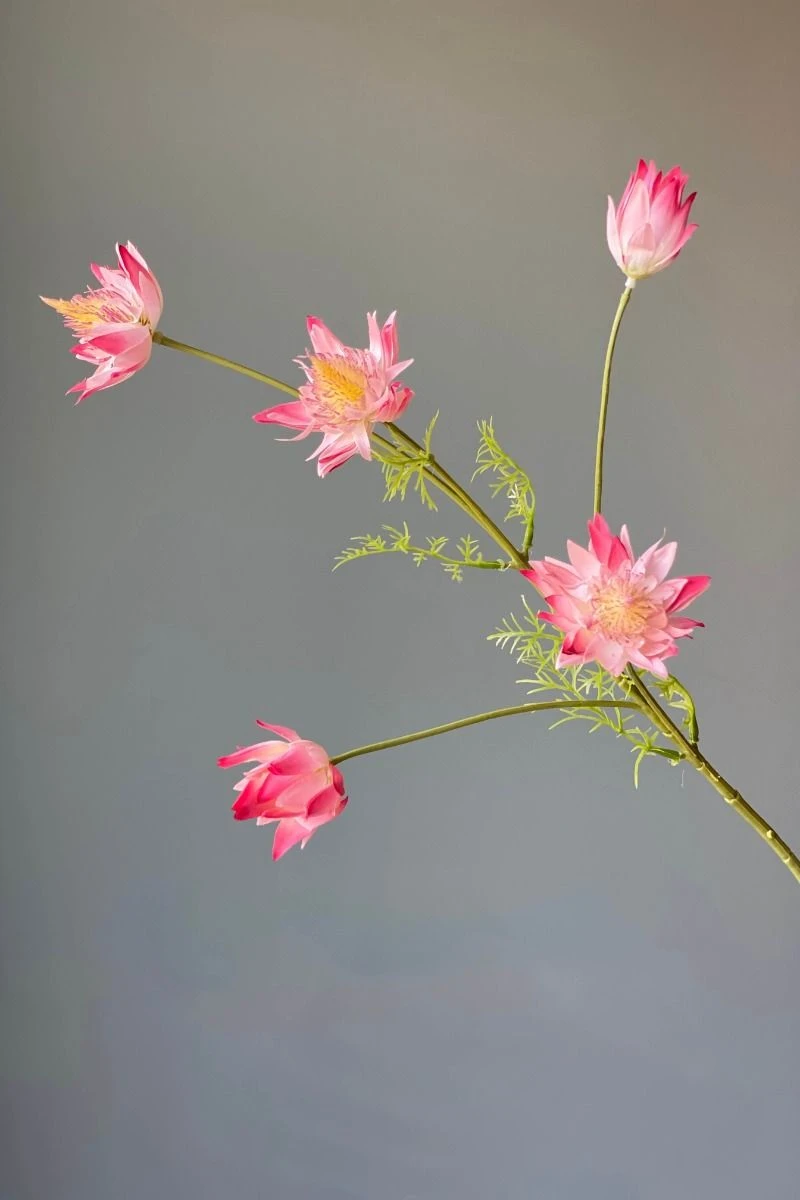 Pip Artificial Flowers Vanilla Bloom 12 Pip Artificial Flowers Vanilla Bloom - Image 10