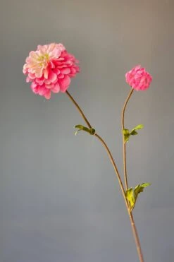 Pip Artificial Flowers Vanilla Bloom 18 Pip Artificial Flowers Vanilla Bloom -Pip studio img 8898