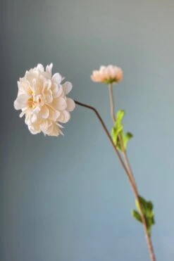 Pip Artificial Flowers Vanilla Bloom 19 Pip Artificial Flowers Vanilla Bloom -Pip studio img 8899