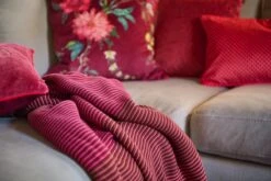 Throw Blockstripe Pink -Pip studio pip woonmaand fw23 011 lr